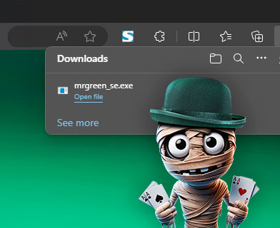 Mr Green download - step 1
